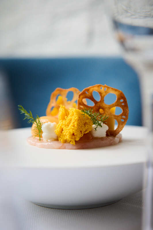 food photography of a fine dining dish
